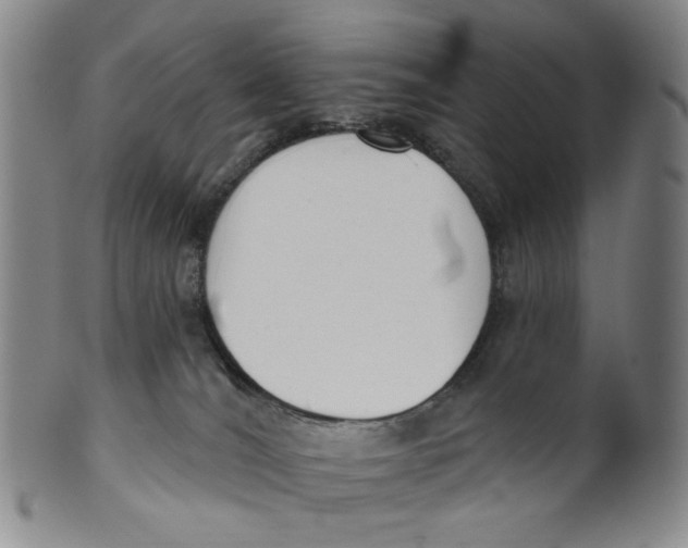 X0000100410036200806271454