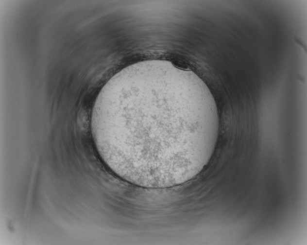 X0000100410037200806271454