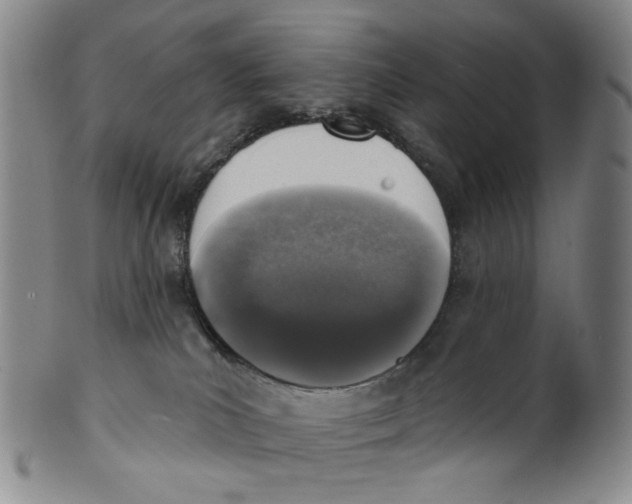 X0000100410039200806271454