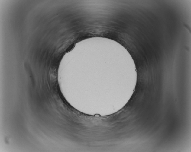 X0000100410040200806271454