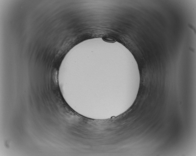 X0000100410041200806271454