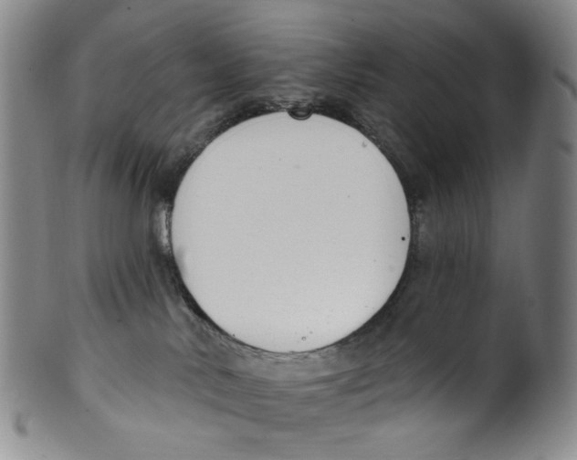 X0000100410042200806271454