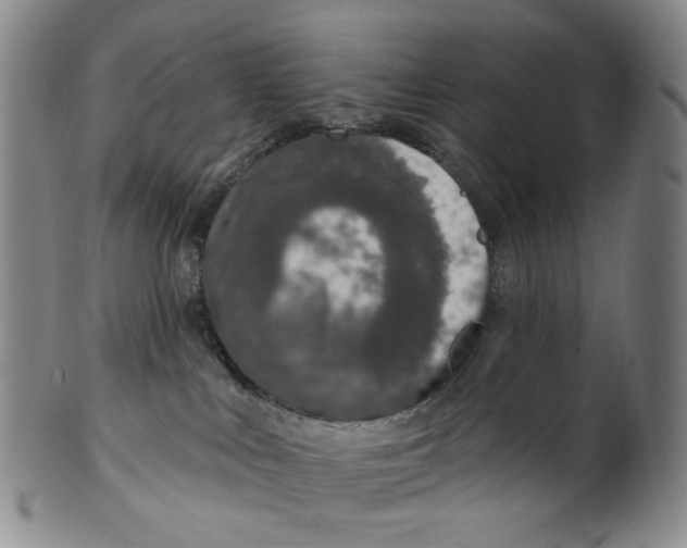 X0000100410043200806271454