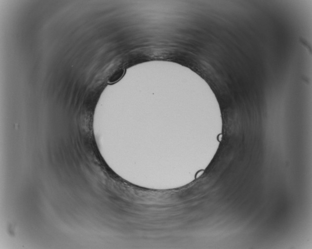 X0000100410044200806271454