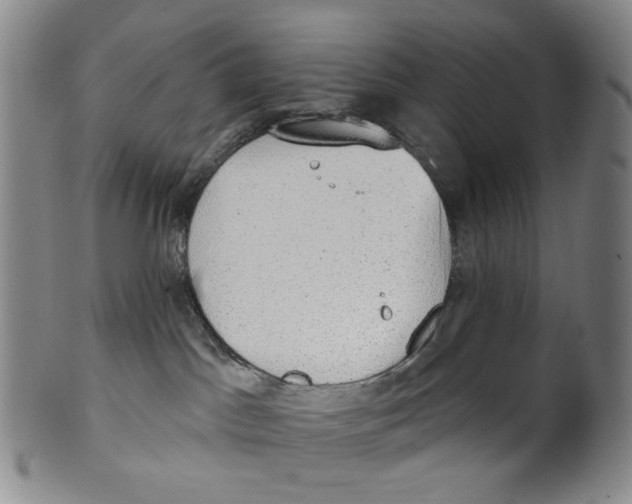 X0000100410045200806271454