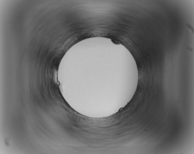 X0000100410046200806271454