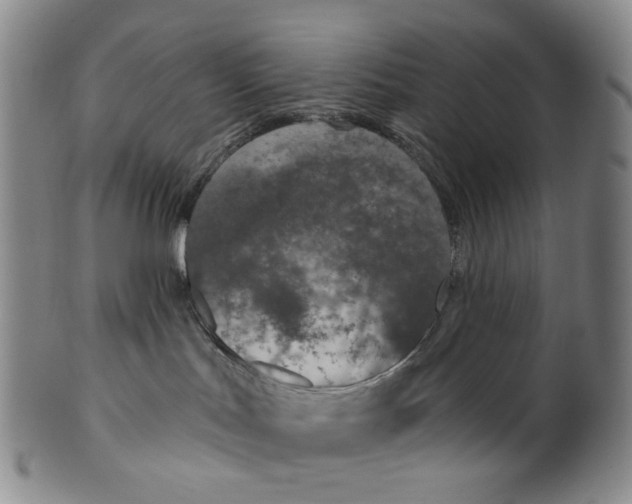 X0000100410047200806271454