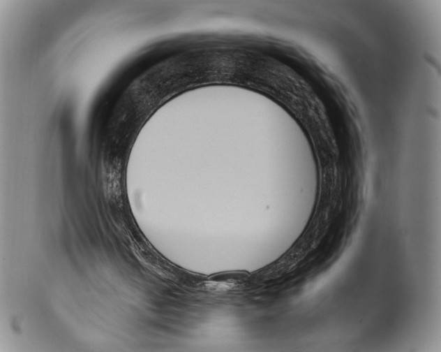 X0000100410050200806271453