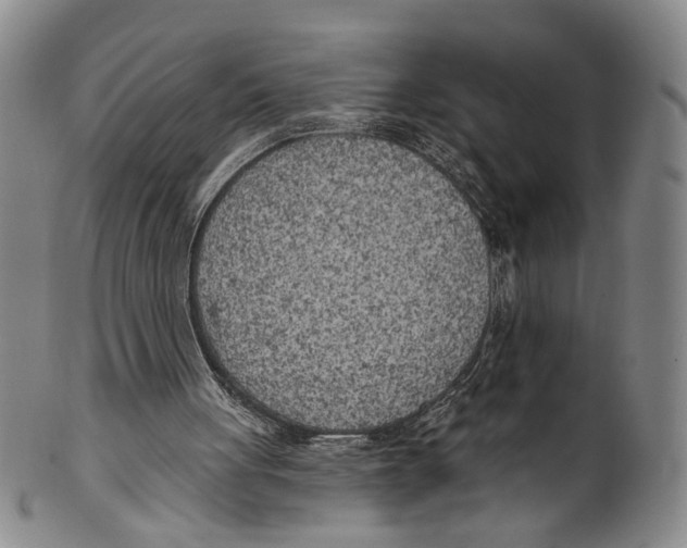 X0000100410051200806271453