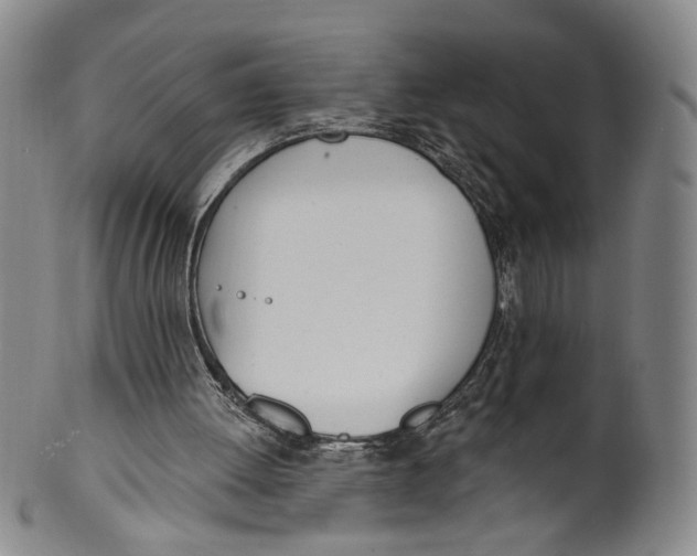 X0000100410052200806271453