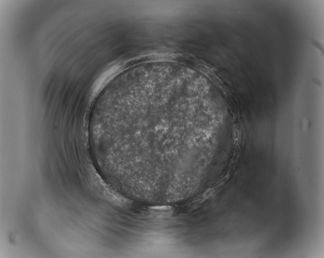 X0000100410053200806271453