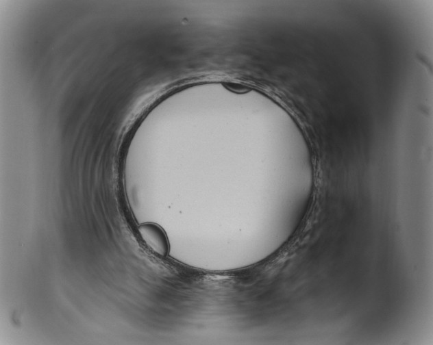 X0000100410055200806271453