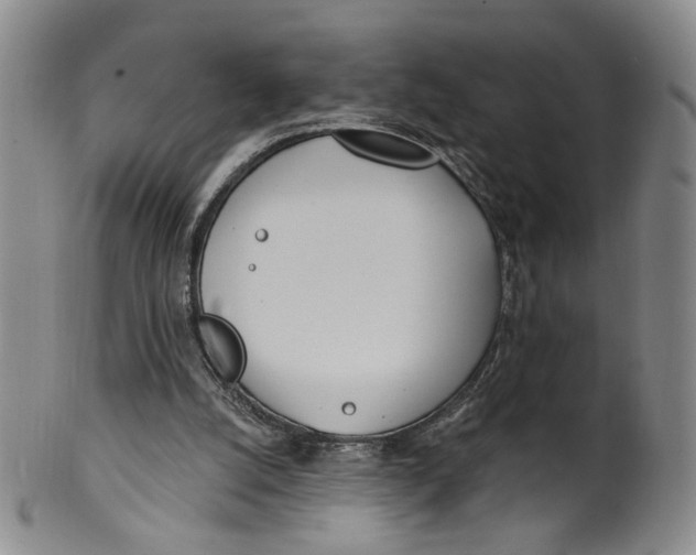 X0000100410056200806271453