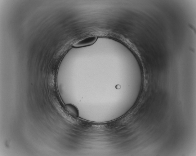 X0000100410057200806271453