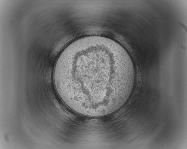 X0000100410058200806271453