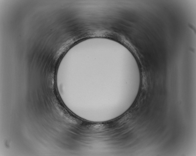 X0000100410059200806271453