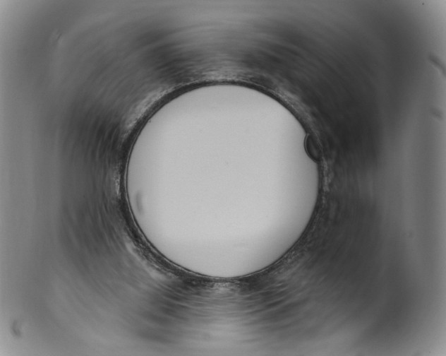 X0000100410060200806271453