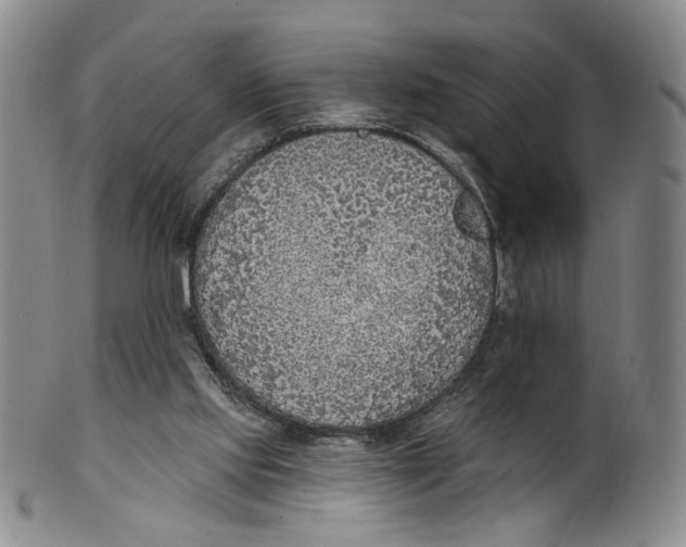 X0000100410061200806271453