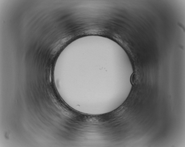 X0000100410062200806271453