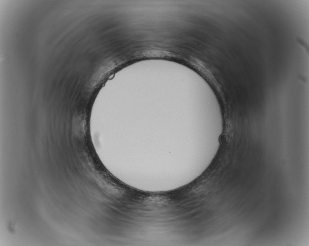 X0000100410063200806271453