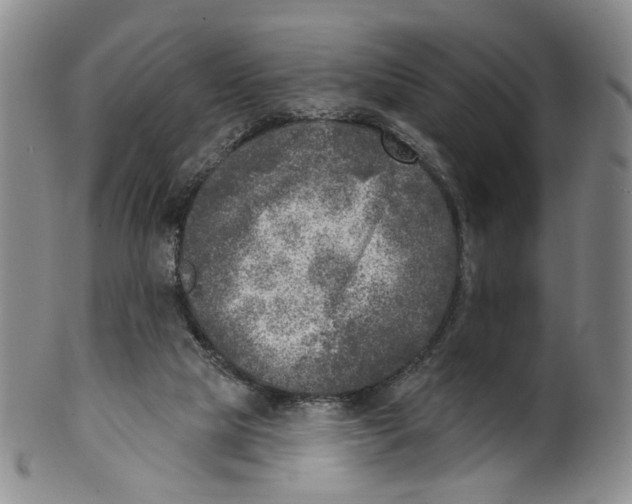 X0000100410065200806271453