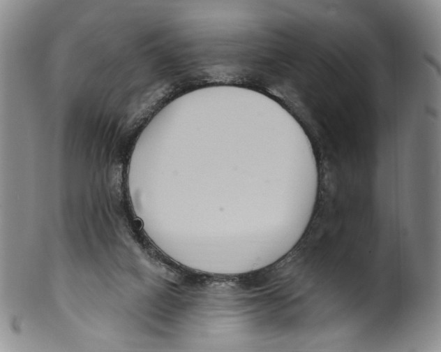 X0000100410066200806271453