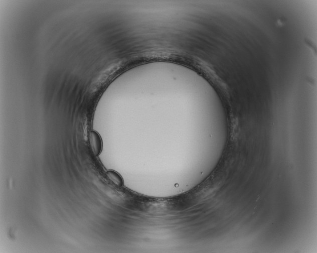 X0000100410068200806271453