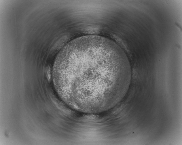 X0000100410069200806271453