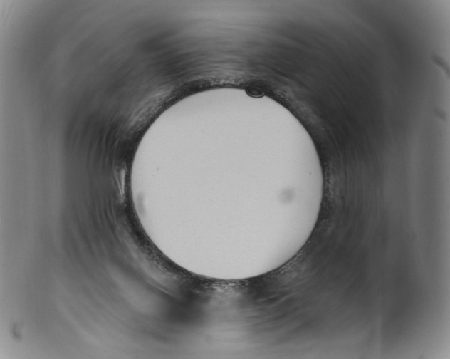 X0000100410070200806271453