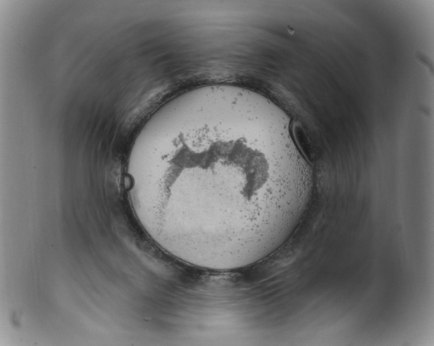 X0000100410072200806271453