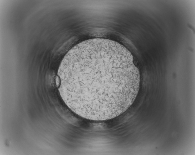 X0000100410073200806271453