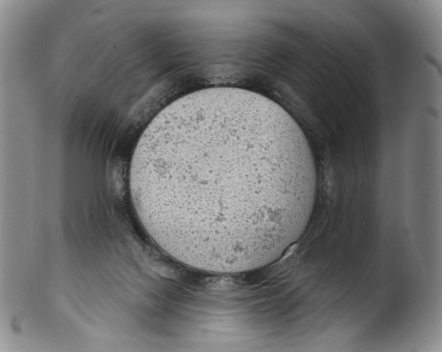 X0000100410074200806271453