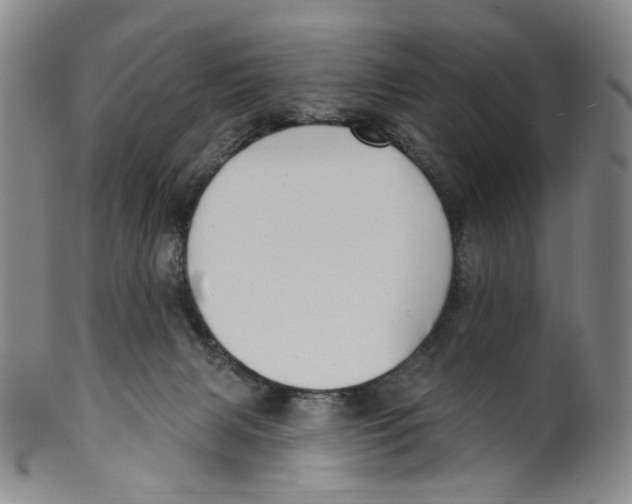 X0000100410079200806271453