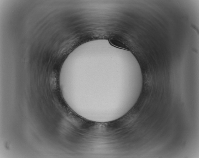 X0000100410080200806271453