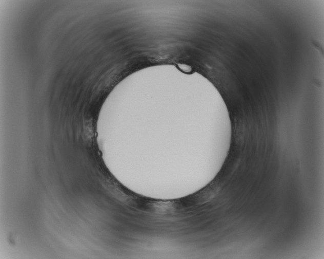 X0000100410085200806271453