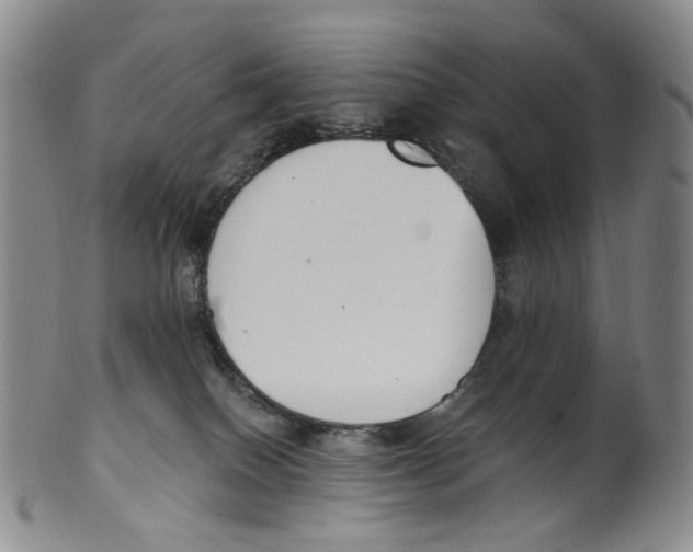 X0000100410086200806271453