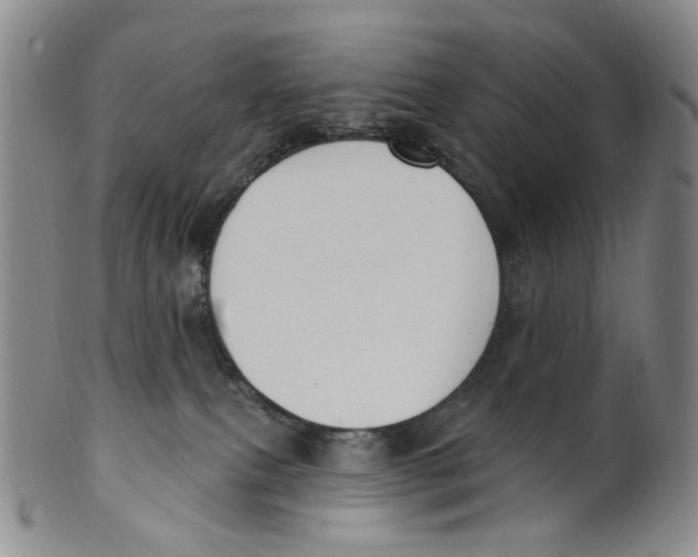 X0000100410087200806271453