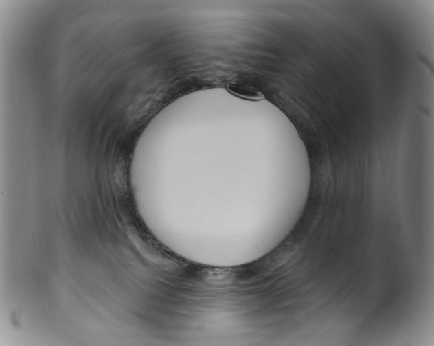 X0000100410088200806271453