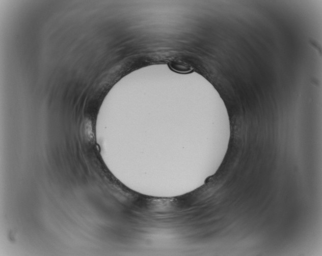 X0000100410089200806271453