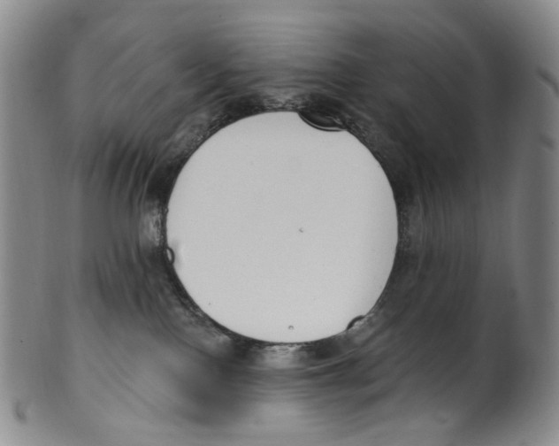 X0000100410090200806271453