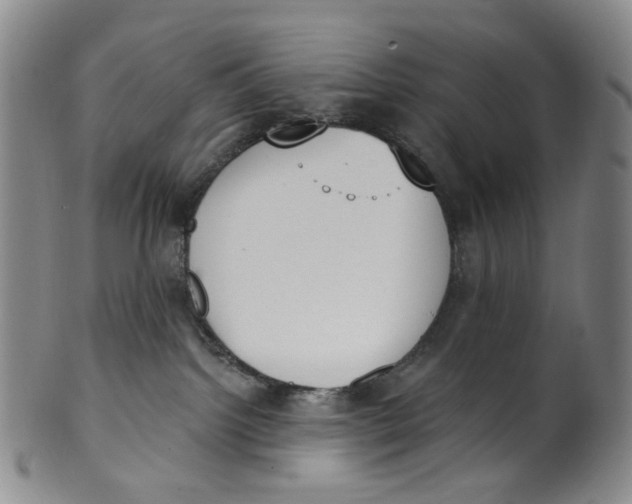 X0000100410092200806271453