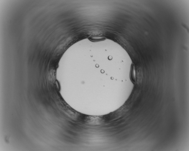 X0000100410093200806271453