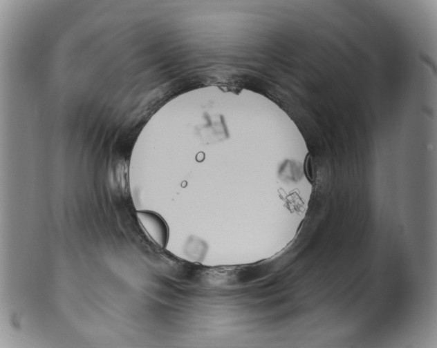 X0000100410094200806271453