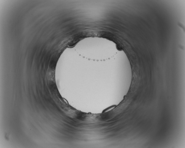 X0000100410096200806271453