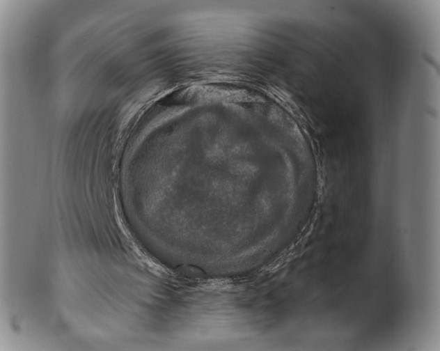 X0000100410097200806271453