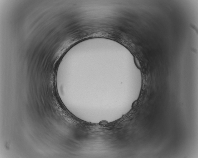 X0000100410098200806271453