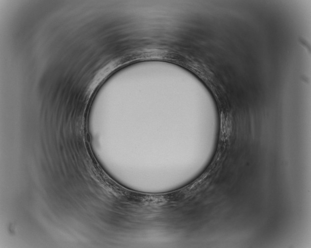 X0000100410099200806271453