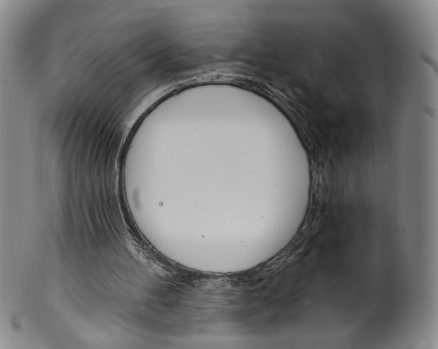 X0000100410100200806271453