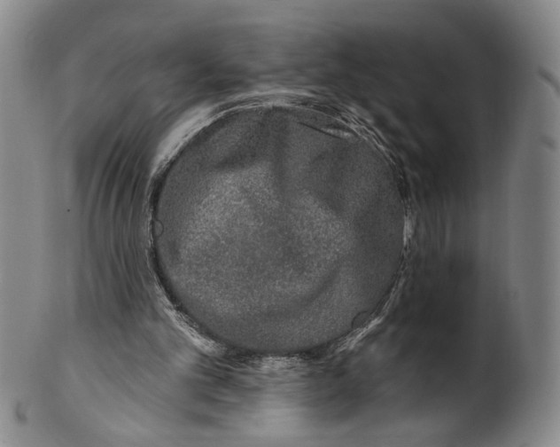 X0000100410101200806271453