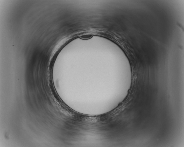 X0000100410102200806271453